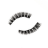 Sarah Lashes